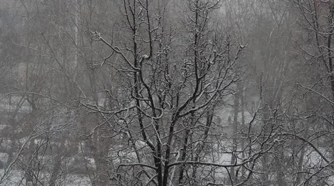 Snowfall in city Stock Footage 59842524