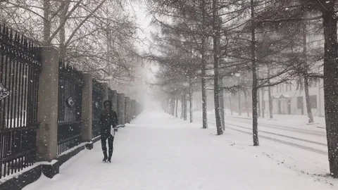 Snowfall in the city Stock Footage 75583238