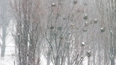 Snowfall In The City HD Stock Footage 45053660