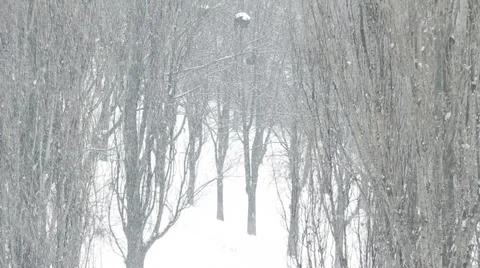 Snowfall In The City HD Stock Footage 45095620