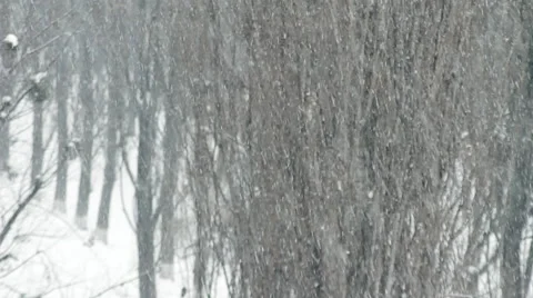 Snowfall In The City HD Stock Footage 45097614