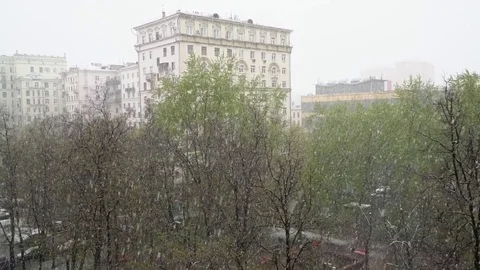 Snowfall in the city in the middle of spring Stock Footage 75447553