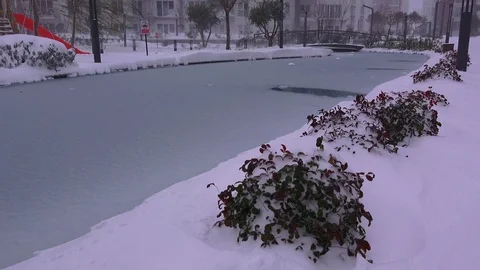 Snowfall on the city park Stock Footage 71246804