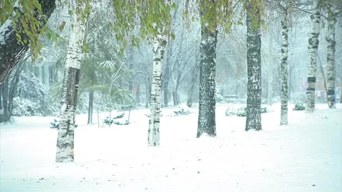 Snowfall in the city park Stock Footage 96291184
