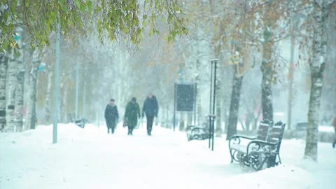 Snowfall in the city park Stock Footage 96291681