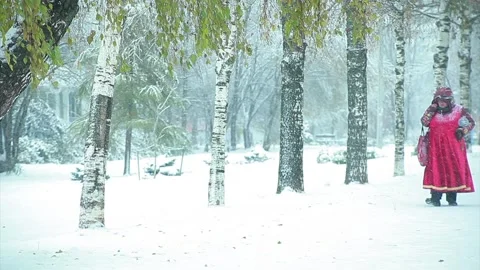 Snowfall in the city park Stock Footage 96292896