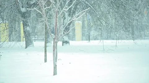 Snowfall in the city park Stock Footage 96293445