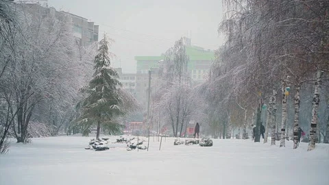 Snowfall in the city park Stock Footage 96295073