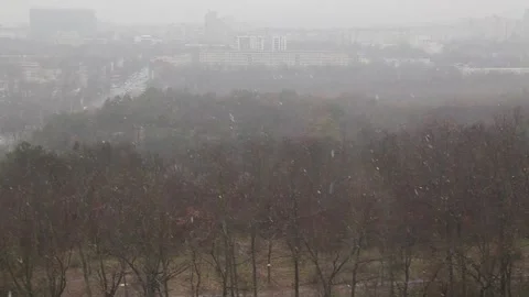 Snowfall in a city park Stock Footage 145609994