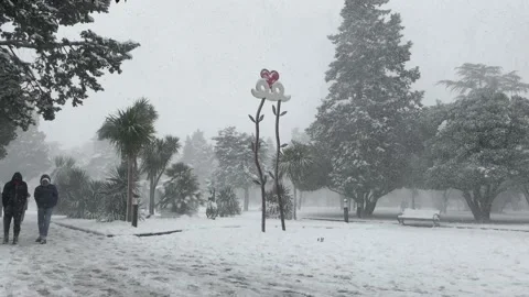 Snowfall in the city park Stock Footage 166337089