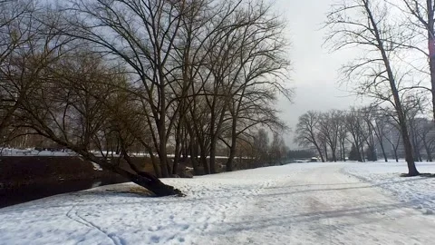 Snowfall in the city park Video stock 220444287