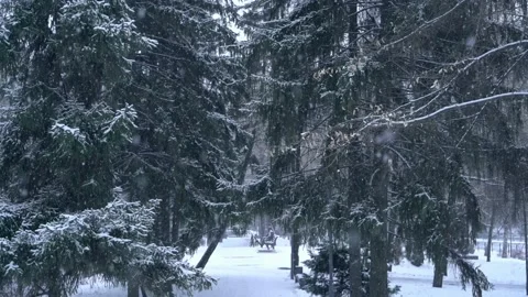 Snowfall in the city park, slow motion Stock Footage 224924580