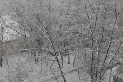 Snowfall in the city Stock Photos