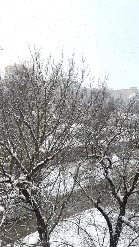 Snowfall in the city. View from the window of a snow-covered street Stock Footage 252850867