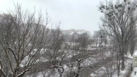 Snowfall in the city. View from the window of a snow-covered street Stock Footage 252850872