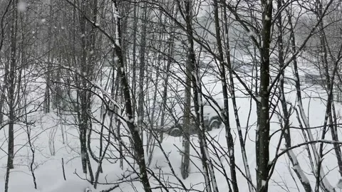 Snowfall in the city on a winter evening. Stock Footage 249019694