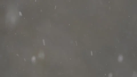 Snowfall closeup 動画素材 298038779