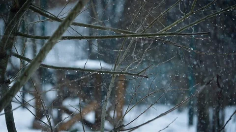 Snowfall on a cloudy day. Stock-Footage 124394511