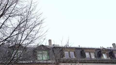 Snowfall on cloudy day on old German street with houses and tree. Snowflakes Stock Footage 168316577