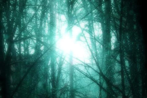 Snowfall Cold Turquoise Forest Bright Surreal Sunlight Stock Photos