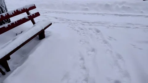 Snowfall in cold winter day and two empty bench covered with snow. Stock Footage 148243929