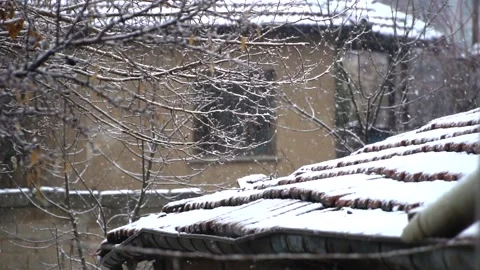 Snowfall continues Stock Footage 167187202
