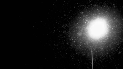 Snowfall continues Stock Footage 167715309