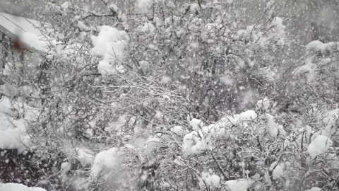 Snowfall continues Video stock 167715926