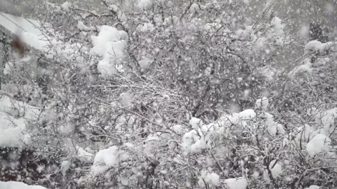 Snowfall continues Stock Footage 167715942
