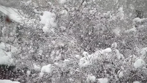 Snowfall continues Stock Footage 167715967