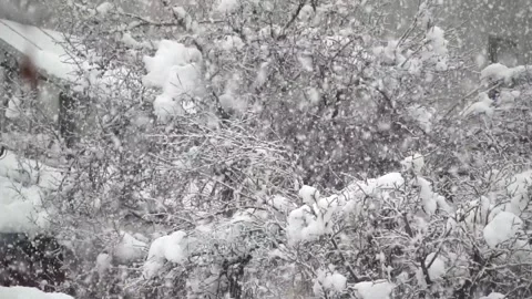 Snowfall continues Stock Footage 167715992
