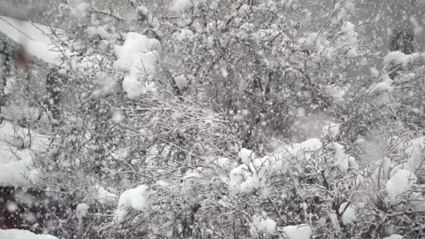 Snowfall continues Stock Footage 167716033