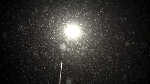 Snowfall continues Stock Footage 167716685