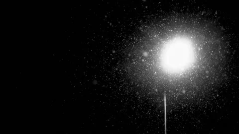 Snowfall continues Stock Footage 167718073