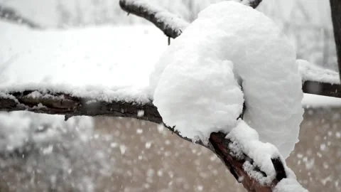 Snowfall continues Video stock 168204918