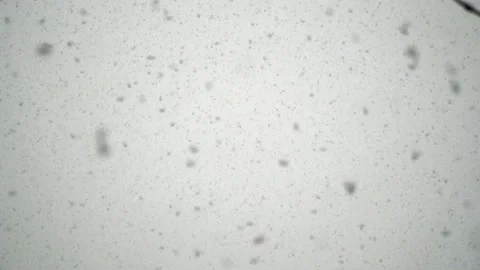 Snowfall continues Stock Footage 168205068