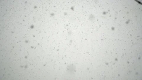 Snowfall continues Stock Footage 168205290