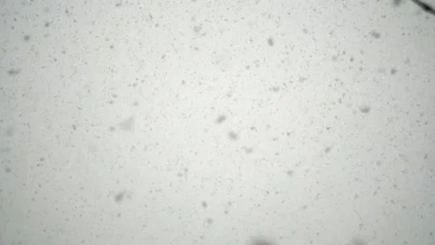 Snowfall continues Stock Footage 168334832