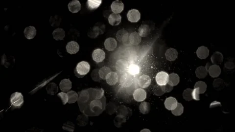 Snowfall continues Stock Footage 168346621