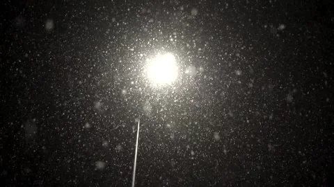 Snowfall continues Stock Footage 168446548