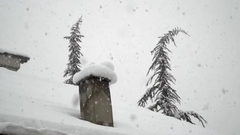 Snowfall continues Stock Footage 168532561