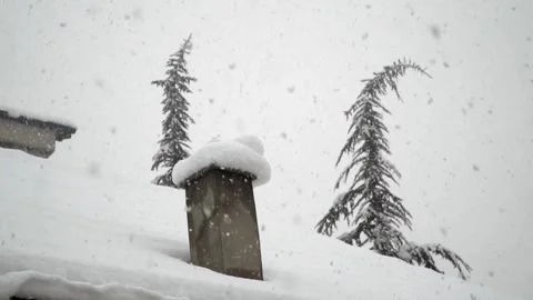 Snowfall continues Stock Footage 168532636