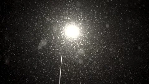 Snowfall continues Stock Footage 168532831