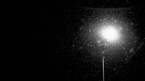 Snowfall continues Stock Footage 168533492