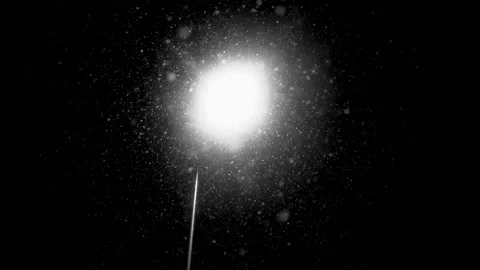 Snowfall continues Stock Footage 168533620