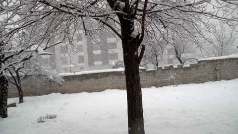 Snowfall continues Stock Footage 168951993