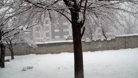 Snowfall continues Video stock 168952014