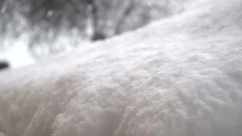 Snowfall continues Stock Footage 169117229
