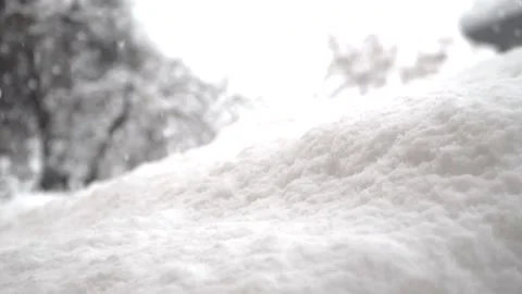 Snowfall continues Stock Footage 169117460