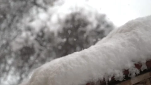 Snowfall continues Stock Footage 169117513
